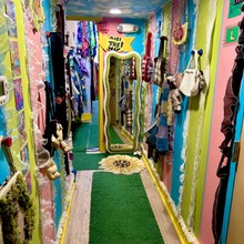 Hunny Musturd - Accessories